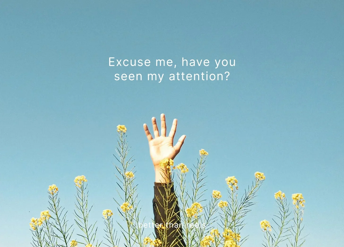 A hand reaching up out of a field of yellow wildflowers into a clear blue sky.