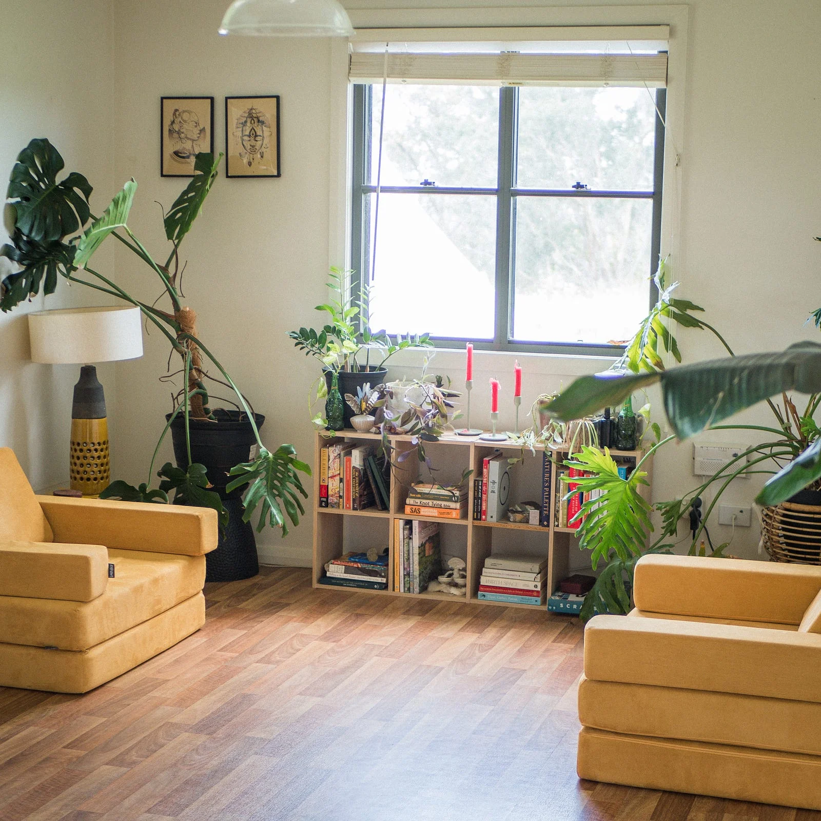 A sunlit reading corner with a low bookshelf under a window, houseplants and two mustard-yellow armchairs